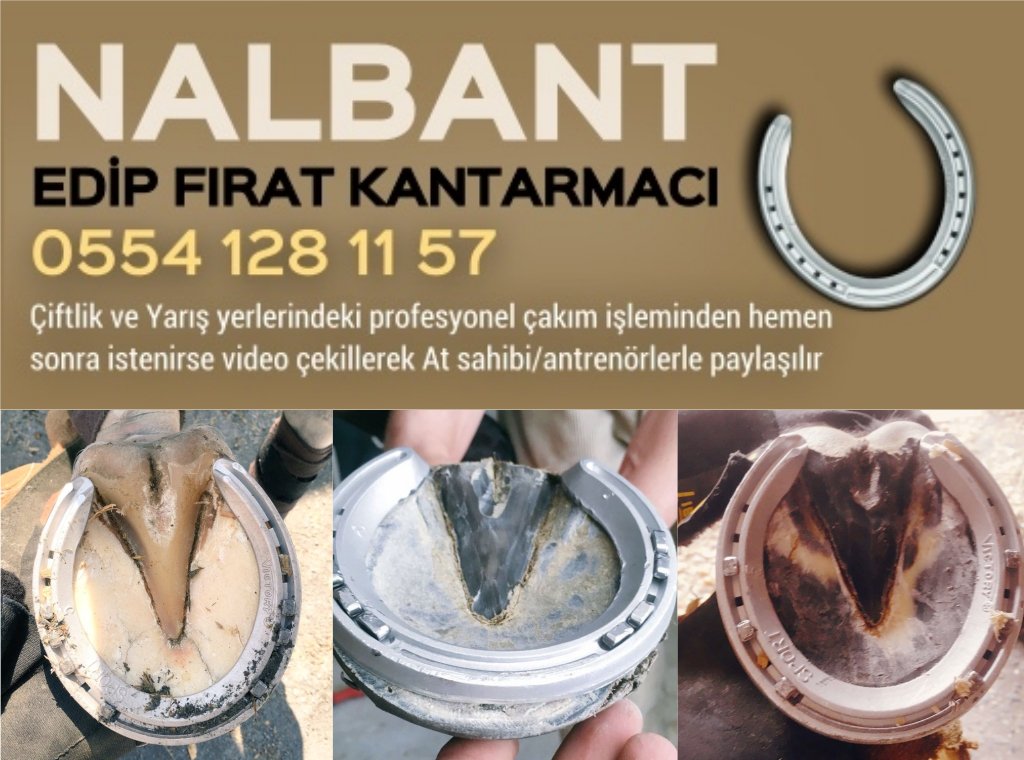 NALBANT; <a href="/EdipKantarmaci/">Nalbant Edip Kantarmaci🔨</a>
yarisdergisi.com/haberler/21321…