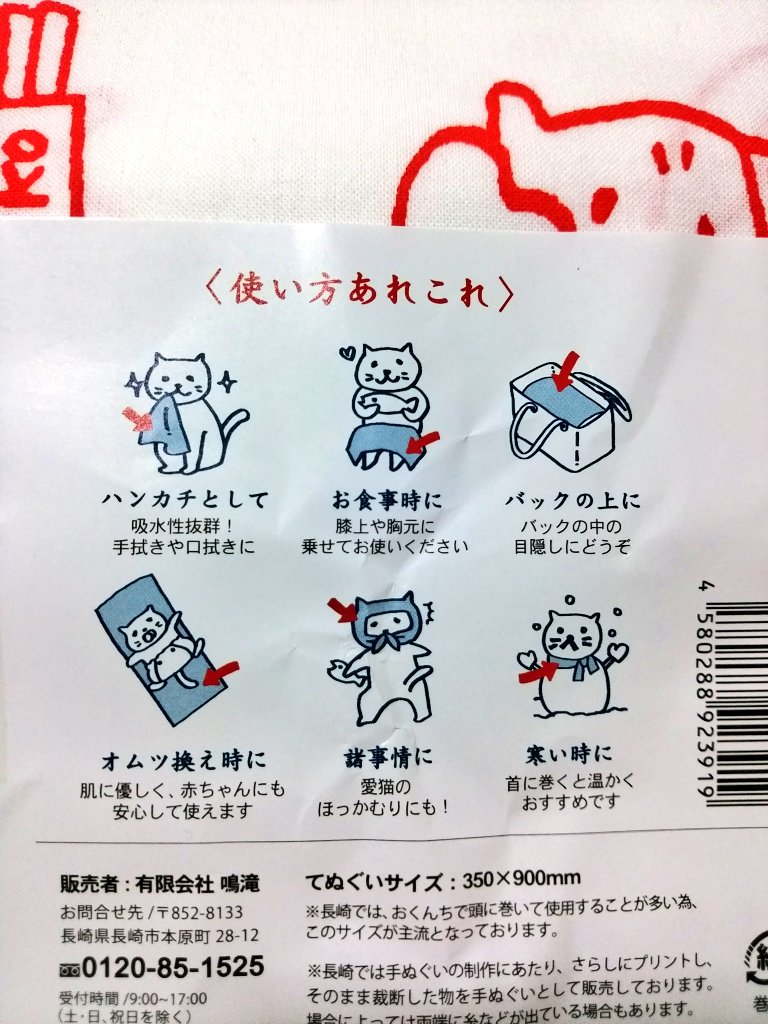 にゃがさきねこ