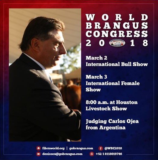 fibrangusa's tweet photo. 🌟🤩Carlos Ojea Rullan 🤩🌟
Is back judging this 9th edition of the World Brangus Congress 2018 to be held in Houston, Texas 🇺🇸 🌎

#WBC2018 #WorldBrangusCongress2018 #WorldBrangusCongress #Brangus #RedBrangus 
#BrangusRojo #Houston #GoBrangus #BrangusArgetina #CarlosOjeaRullan https://t.co/pVXbbmCtQ3