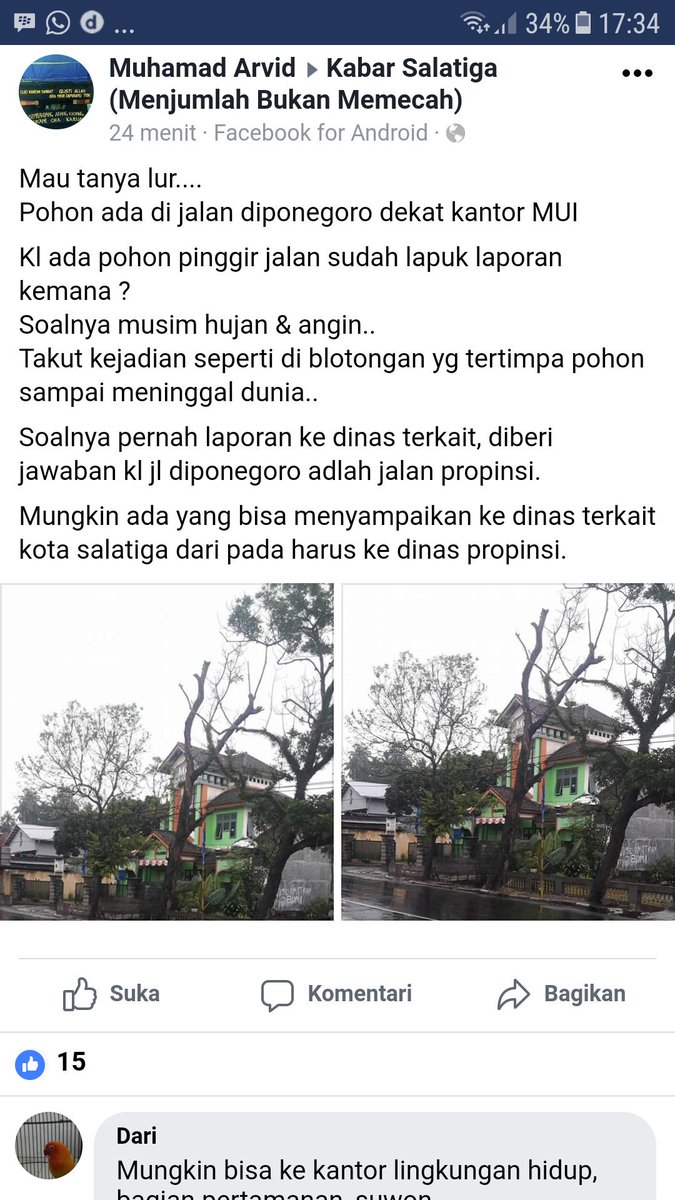 Pak <a href="/ganjarpranowo/">Ganjar Pranowo</a> , mohon bantuannya pohon tersebut bisa ditebang.. karena memang sangat membahayakan.. sebelumnya sudah ada korban tertimpa dan meninggal ditempat ...