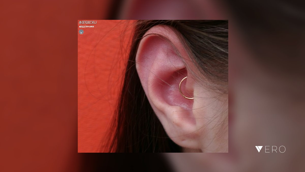 ipricku's tweet photo. Healed daith piercing upgraded to a Maria Tash rose gold cicker ring.  
.
.
.
#ipricku #statenisland #appmember #safepiercing #daithpiercing #gold #goldbodyjewelry #legitbodyjewelry #associationofprofessionalpiercers #itsit #whatisit @VeroTrueSocial https://t.co/YjOaOCnloN