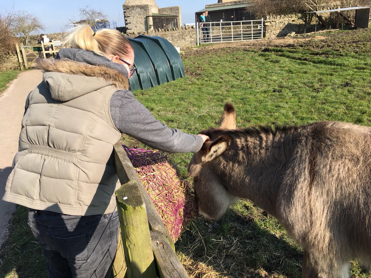makeitmentoring's tweet photo. Some wonderful mentoring happening @FOGFarm - some very early signs of spring with all the lambs and piglets. Well done folks! https://t.co/6qchZZjuYW