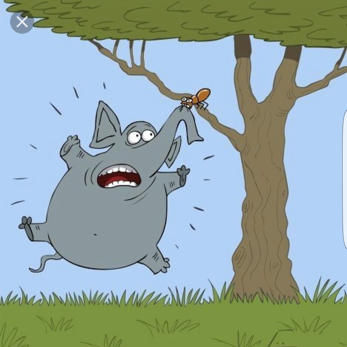 povonewstv's tweet photo. #Zimbabwe is a free country. Who am I to stop an ant from attempting to fight an elephant - Jason Passade on Mahere candidacy, July 2017
Mt Pleasant MP Candidates
=>Jason Passade (current MP)
=>Fadzayi Mahere (independent)
#MtPleasant #ZimElections #Passade #Mahere https://t.co/vCgHVHTzHg