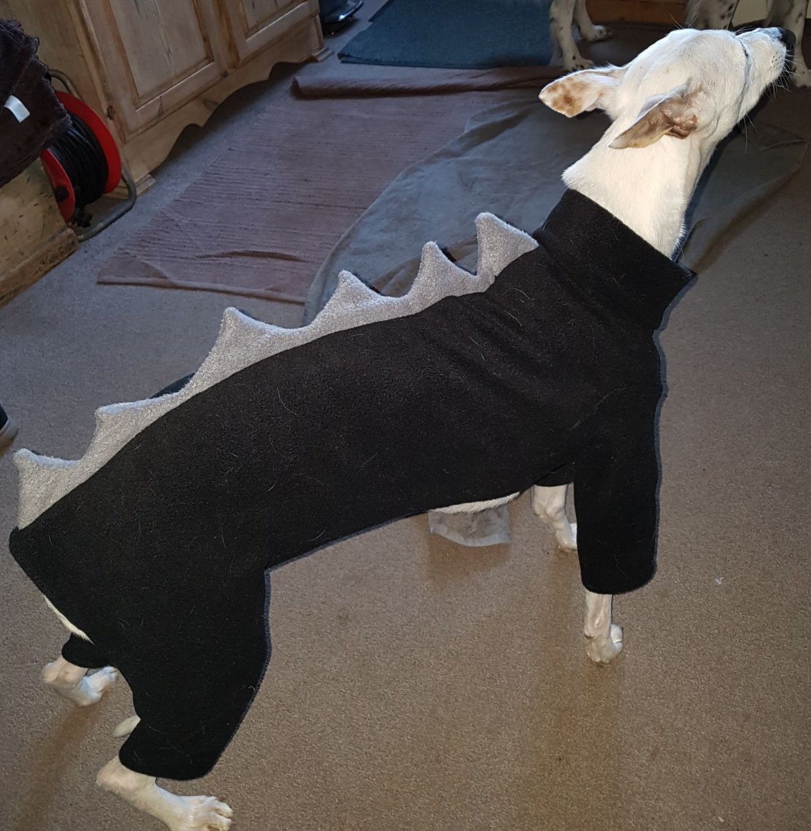 lilwonkywilly's tweet photo. My favourite hobbies include: 
Being a scary wonkysaurus https://t.co/U9g4iyqB6H
