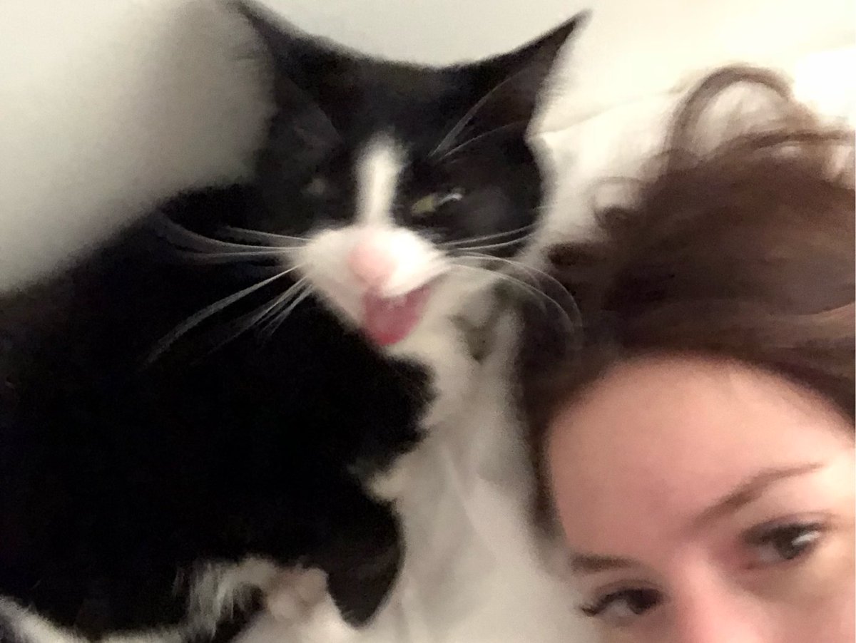 GemmaAnneStyles's tweet photo. Woke up to a demon on my pillow https://t.co/yrDWWIarn5