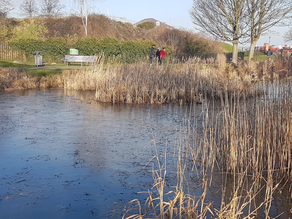 Gravesendjpr's tweet photo. A beautiful morning for a #parkrun No ice, so we are on but do wear your thermals as the breeze is fresh! Extra brownie points for the marshal on windy corner #loveparkrun https://t.co/jRb4ni0Swx