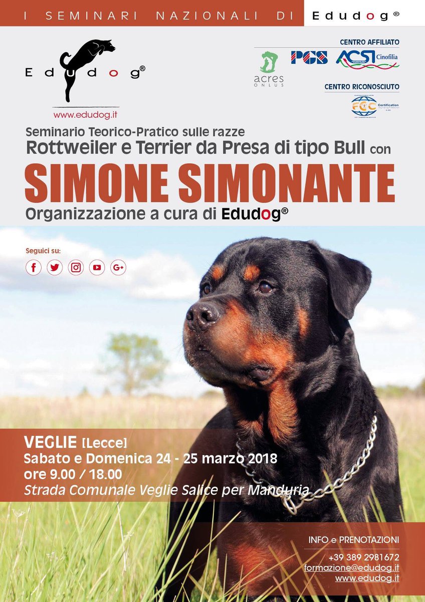 Edudog1's tweet image. Tornano i seminari nazionali #Edudog 📢 Il 24 e 25 marzo a #Veglie, le lezioni teoriche e pratiche con Simone Simonante per conoscere meglio i #rottweiler e #terrier da Presa di tipo Bull