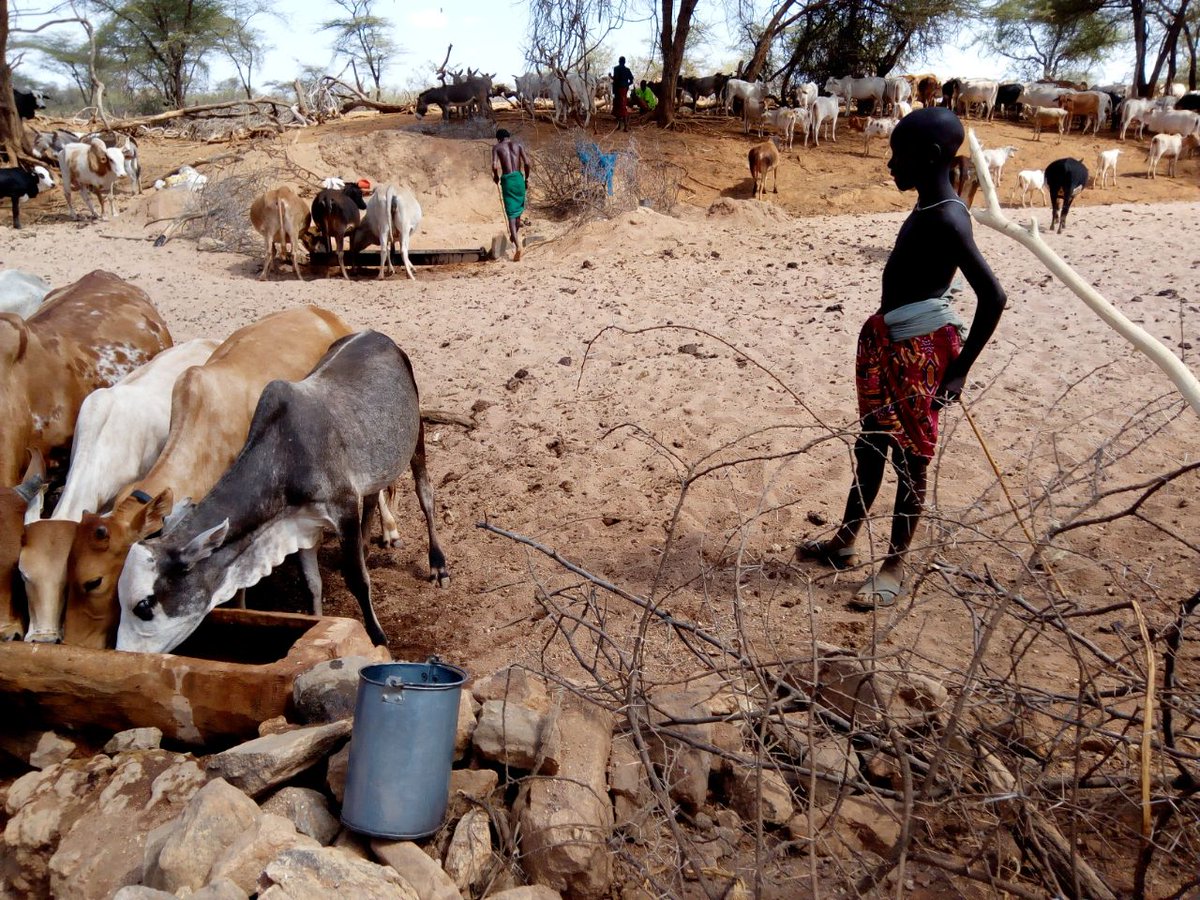 SamMunia's tweet photo. Situation on the ground:
The mighty EWASO NYIRO is GONE! Sand harvesting, charcoal burning and 'Singing wells' everywhere. An ecosystem under threat! #EndoftheRiver https://t.co/F0WAby9tFM
