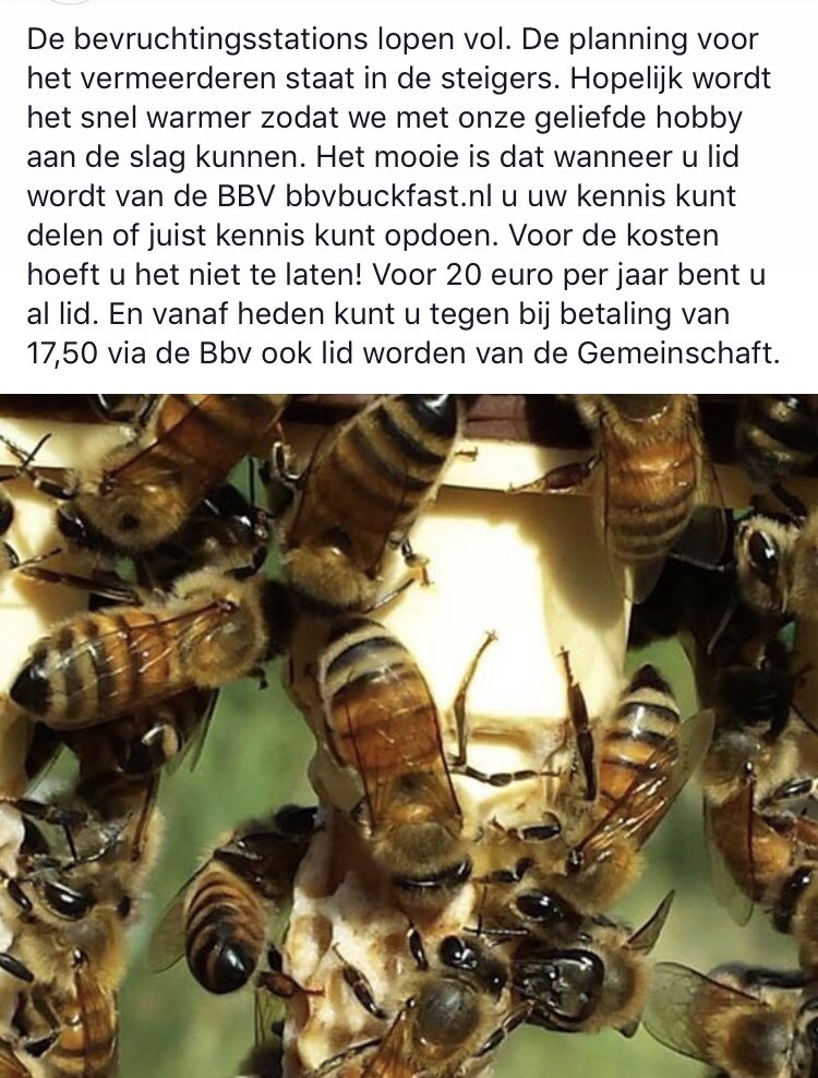 BBV Nederland tweet media