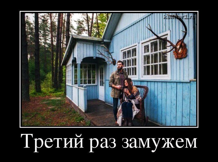 Карикатуры картинки фото приколы демотиваторы и видео приколы