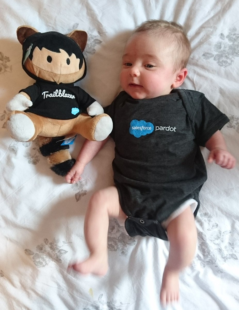 sarahkllhr's tweet image. My teeny Trailblazer. 2 months is old enough to start learning Apex right?! @Pardot @salesforce #trailhead #futuredev #girlscancodetoo