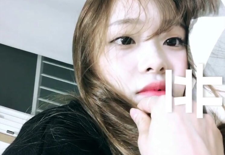 Loona twitter symbol Loona twitter symbol