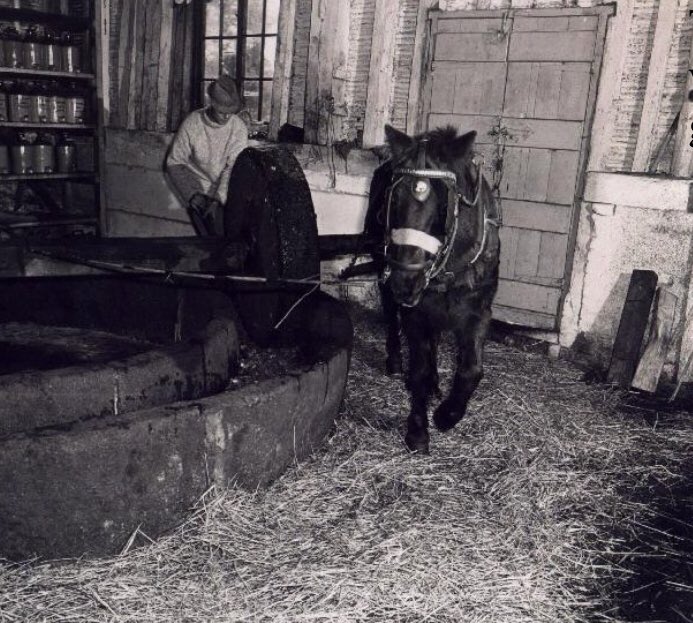 Aspall's tweet photo. This is Aspall Cyder in 1974, way back when we still used the granite stone wheel installed in 1728. 🐴 https://t.co/tWOlhMRjax