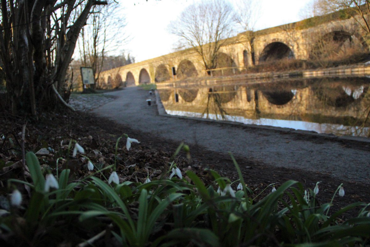 FridaysFolly's tweet photo. Found #signsofspring on the Welsh side of #Chirkaqueduct this morning. The daffodils may even be out in time for #StDavidsDay #DyddGŵylDewi @GlandwrCymru #boatsthattweet https://t.co/3Joc0obYwe