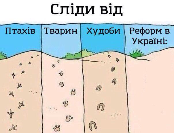 Темпи реформ в Україні дійсно вражають, - Порошенко - Цензор.НЕТ 1745
