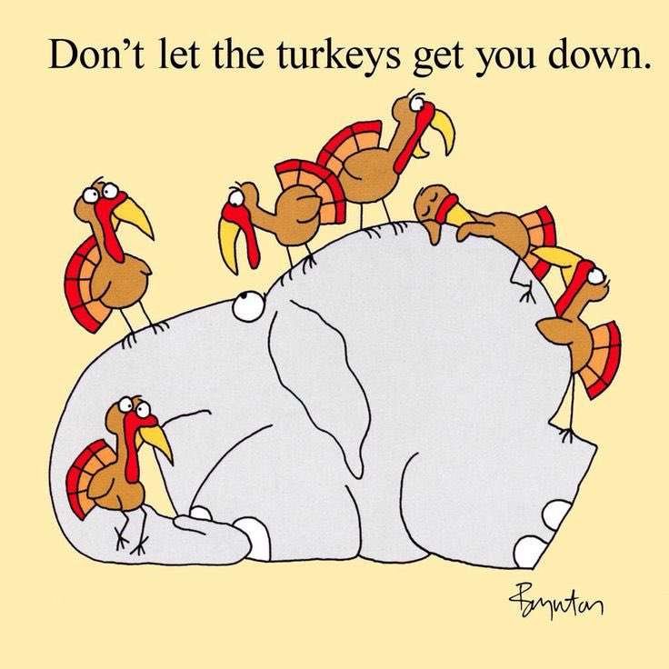 TriciaReish's tweet photo. @HeyDanKurtz I don’t think you’re an idiot. So don’t let that person bring you down! https://t.co/WCDGw0LykW
