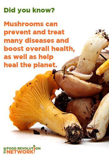 VWellHealth's tweet photo. Add #mushrooms to your diet! They are one of the most #health-promoting #foods on the planet! https://t.co/SfrKtOT7p1