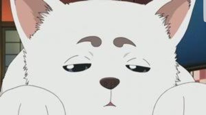 定春生誕祭のtwitterイラスト検索結果 古い順 定春生誕祭のtwitterイラスト検索結果 古い順