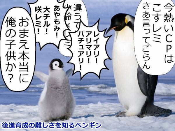 氷室 東方のマイナーcp民をペンギンって呼ぶノリ可愛くてすこ