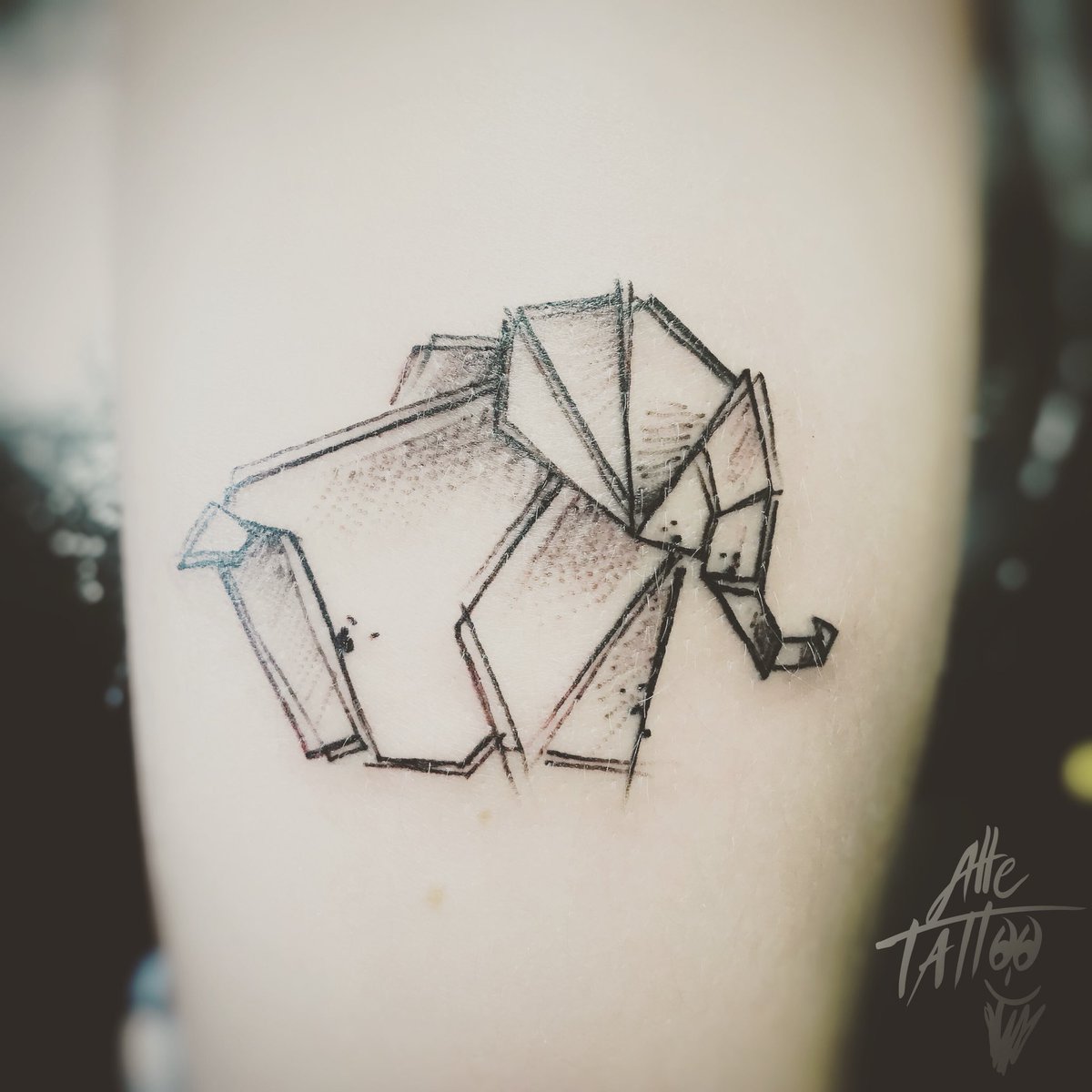 AlleTattoo's tweet photo. Le donne e gli elefanti non dimenticano mai. #fateAmodo #donne e #perdonateci 😘 😘😘😘😘😘😘😘😘😘😘😘😘😘 #tattoo #alletattoo #instabed #petitprince #lepetitprince #instatattoo #instacama #primerolacomunidad #hallazgosemanal #elephanttattoo #elephant #elefante https://t.co/s9NqoGB5W5