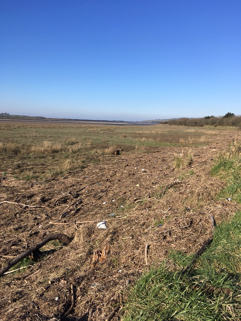 jamiemcclaughl1's tweet photo. Stunning cycle today in #beautifulNorthdevon blighted by the marine plastics washed up on our shores ,can feel an Environmental day coming up for the #Alverdicott field team @EnvAgencySW @BudeCleanerSeas @PlasticOceans https://t.co/wIDLy79sXW