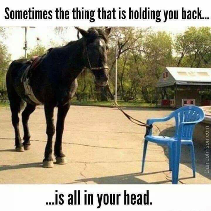 mcoydtrader tweet picture