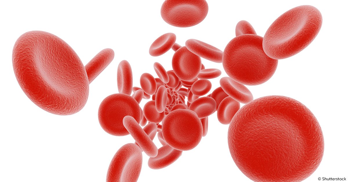 RoySocChem's tweet photo. Ruth Erica Benesch was born #onthisday in 1925. Ruth and her husband Reinhold made a discovery that helped explain how hemoglobin releases oxygen in the body. It uses CO2 as an indicator molecule, releasing oxygen when CO2 concentrations are high. https://t.co/hRJgwLbkb4 https://t.co/fIKuQXISez
