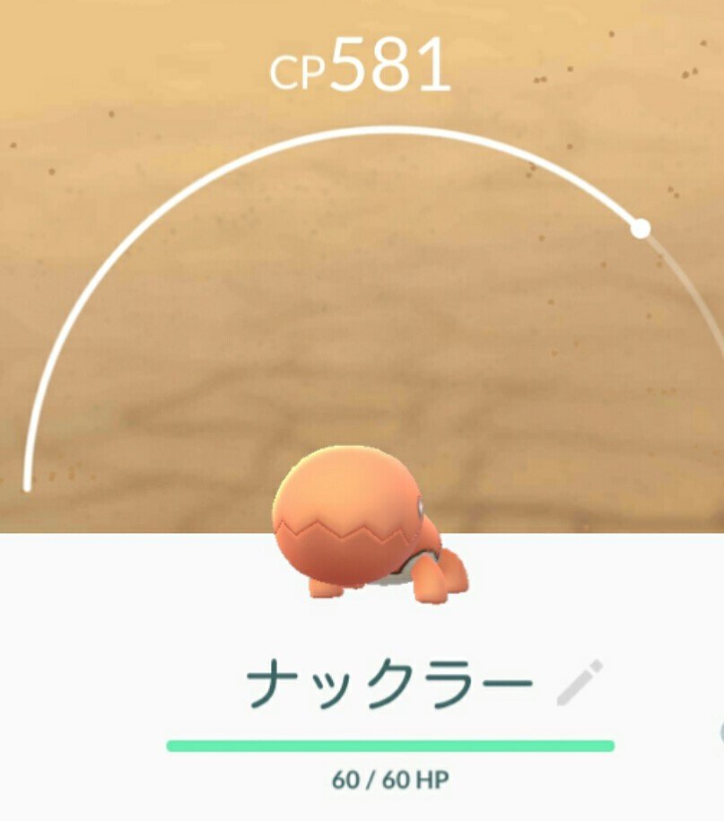ナックラーかわいい ナックラーかわいい