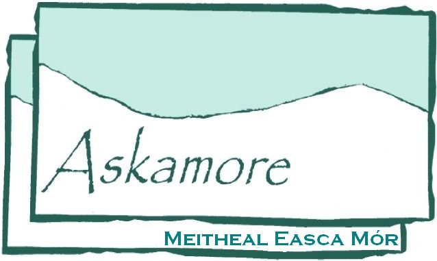 Meitheal Easca Mór – Askamore Working Together – a new way of community development for all the community askamorecommunity.wordpress.com/2018/02/25/mei…