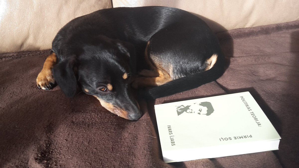 Kamēr es aizgāju pagatavot kafiju, tikmēr Ulla sadomāja iepazīties ar <a href="/ijabs/">Ivars Ijabs</a>  POLITIKAS TEORIJA: PIRMIE SOĻI.