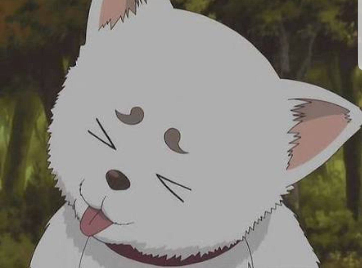 トラタク 声優好き 定春お誕生日おめでとうさ 定春生誕祭18 定春生誕祭 定春 2月25日は定春の誕生日 銀魂 T Co No2uz5jo71 Twitter