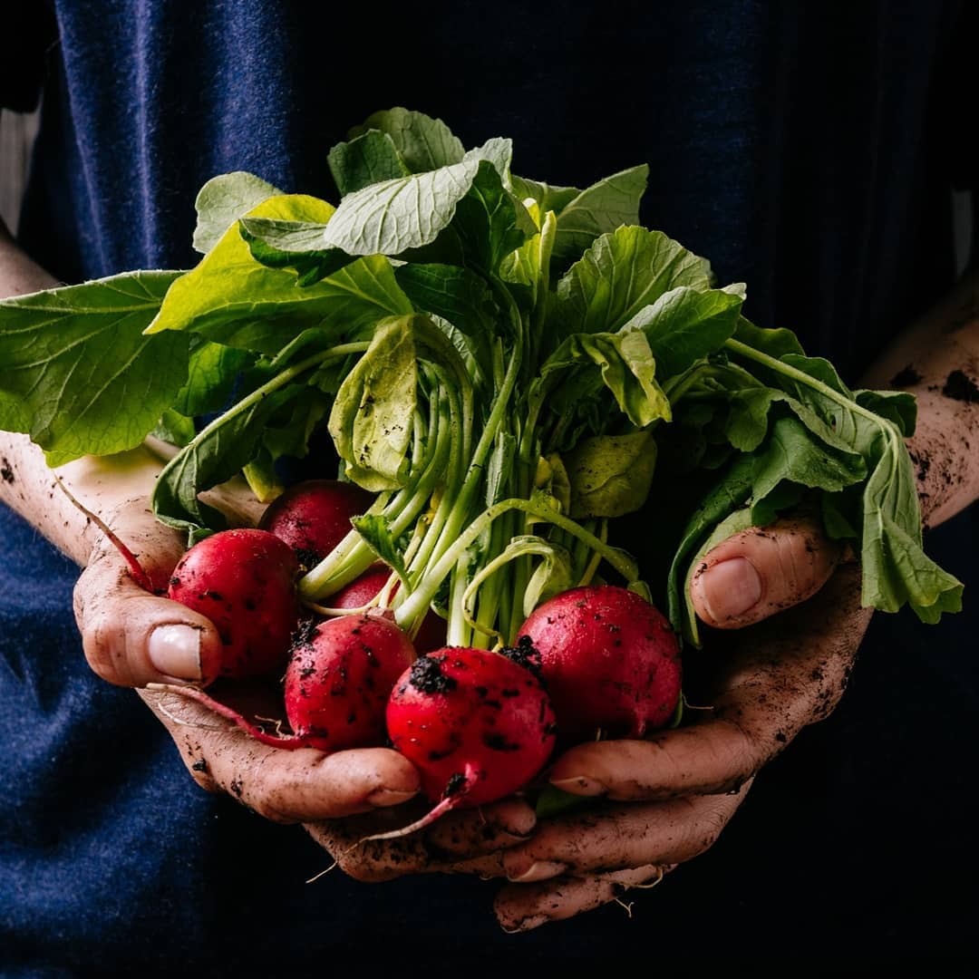 foodtank's tweet image. Did you know? 95% of the food we eat comes from our soils. We have to protect the ground beneath our feet. 🍎🍐🌽 (via @FAOnews)