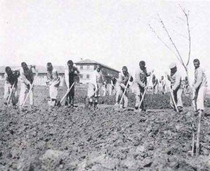 UmobUmut's tweet photo. KÖY ENSTİTÜLERİNİ kapatmayıp,
aynı eğitim kalitesini günümüze kadar sürdürebilseydik,

AB lideri ALMANYA,

Bugün,

Türkiye'nin gerisinde NAL toplardı..

DP, ANAP, DYP, AKP gibi partiler,
Türkiye'yi,
ABD nin dümen suyuna soktular.

KAHROLSUN EMPERYALİZM
ve İŞBİRLİKÇİLERİ. https://t.co/dHjSo3O1xW