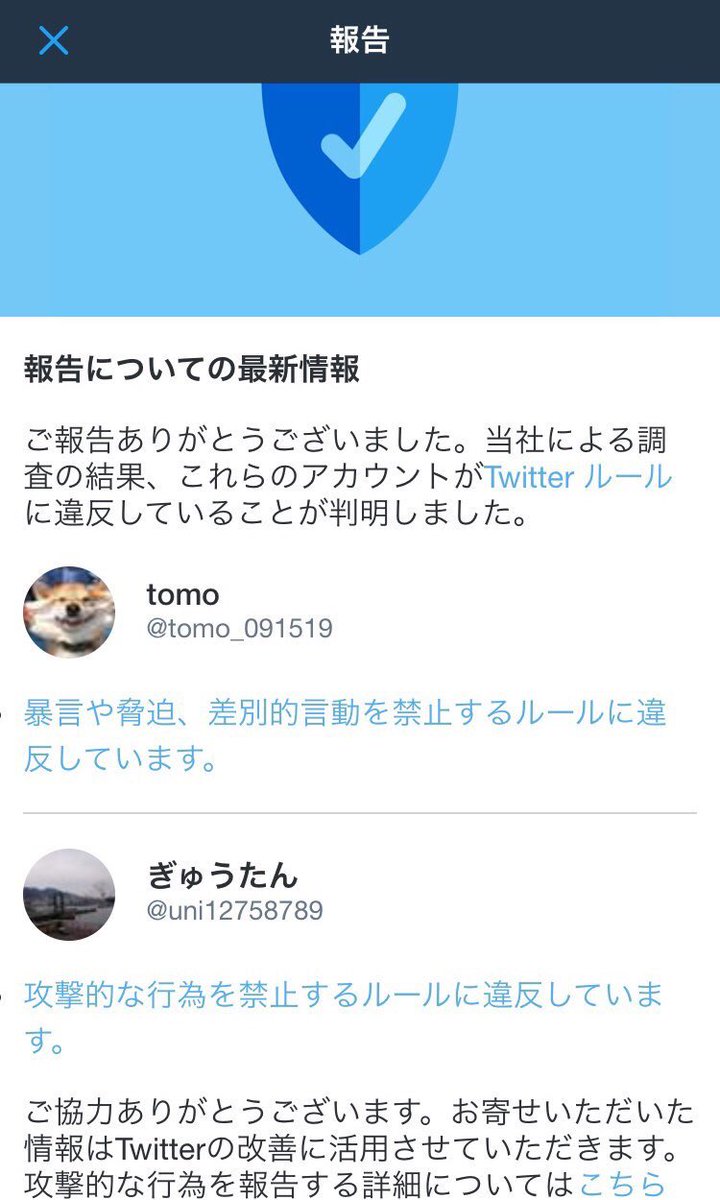 ろじ このように 報告についての最新情報 のページでは アイコンの右側にユーザー名とアカウント名が表示されます Twitterルール 違反 というキーワードで画像を検索すれば 他の例も同じであることが分かります ユーザー名のフォントサイズも