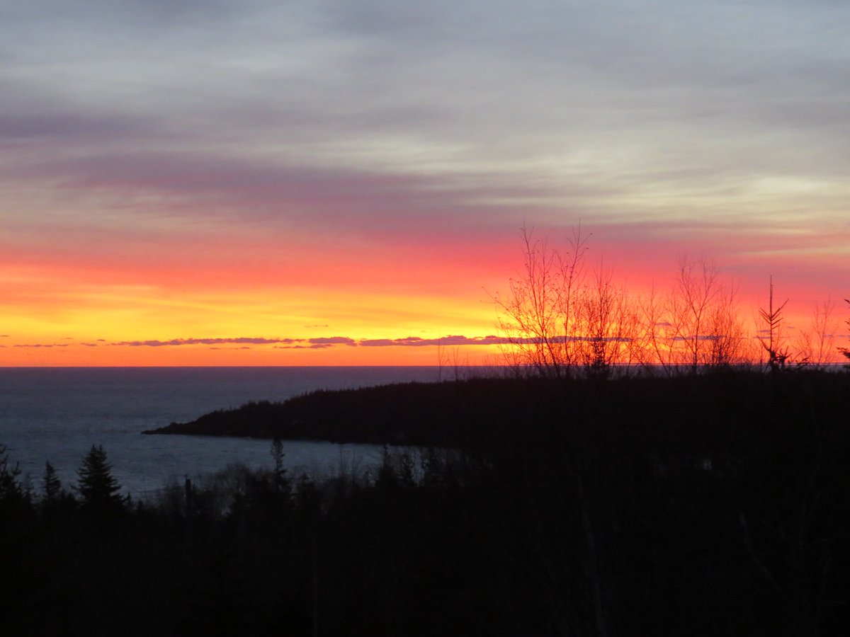Grand Manan Island tweet media