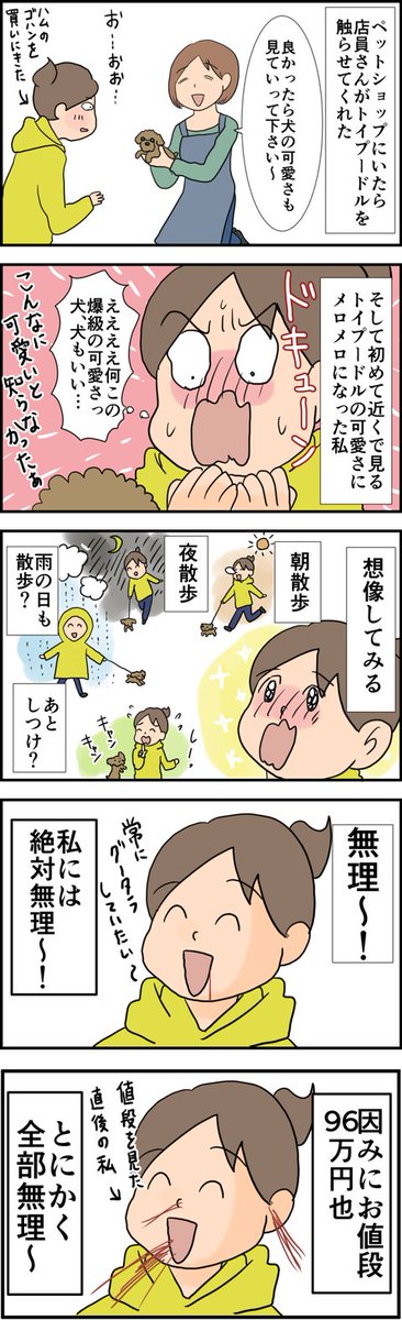ペットショップでプードルに出会って思った事 天使な小悪魔たち : ペットショップでプードルに出会って思った事 https://t.co/sfqwjRM54Q 