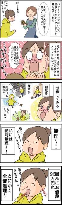 ペットショップでプードルに出会って思った事 天使な小悪魔たち : ペットショップでプードルに出会って思った事 https://t.co/sfqwjRM54Q 