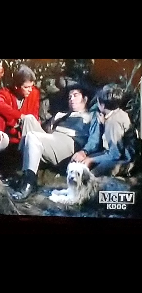 shlingdong's tweet photo. Me at the start of #MeTVGIANTS tonight, versus me halfway through:
#IrwinAllenBlock #ssfsn #Planetwestcoast #MeTV #Svengoolie
@amsnyde @kaufman_roger @jrblevreturns @cellytron @JenniferOberth @Perilandra @folkartbird @Loffz @FanForumsTV @SchmoopyWoopy https://t.co/jT06tZUmd7