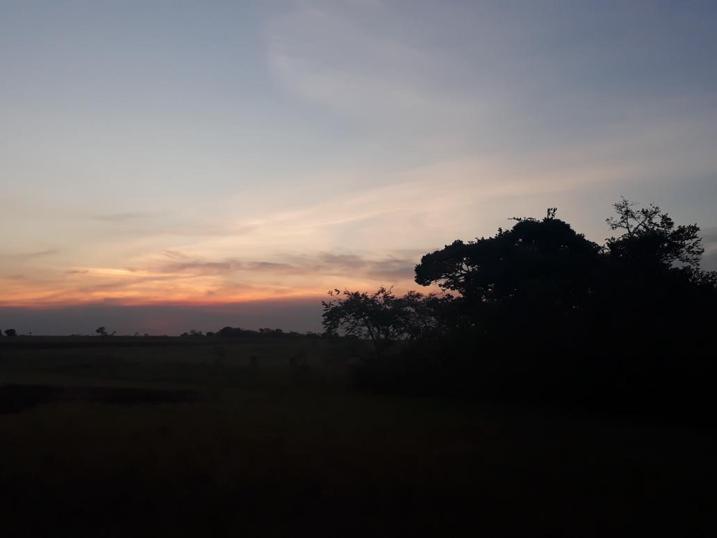 mapi2993's tweet photo. Paisajes lleneros #job https://t.co/swpKya4tG5