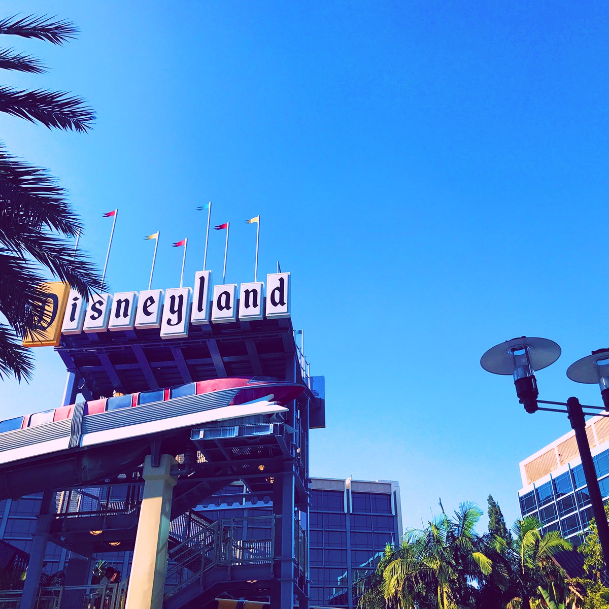 zipadsayidodah's tweet photo. Missing those california clear blue skies this morning!
.
#disneylandhotel #midmodhotel #disneyland #disneylandhotelpool #monorailpool #retrodisney #disneyposting #instadisney #disneyAP #disneypalms https://t.co/DypnrJCtyU