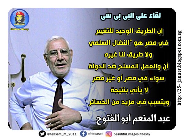 عبد المنعم ابو الفتوح إن الطريق الوحيد للتغيير في مصر هو "النضال السلمي ولا طريق لنا غيره أن والعمل المسلح ضد الدولة سواء في مصر أو غير مصر لا يأتي بنتيجة ويتسبب في مزيد من الخسائر