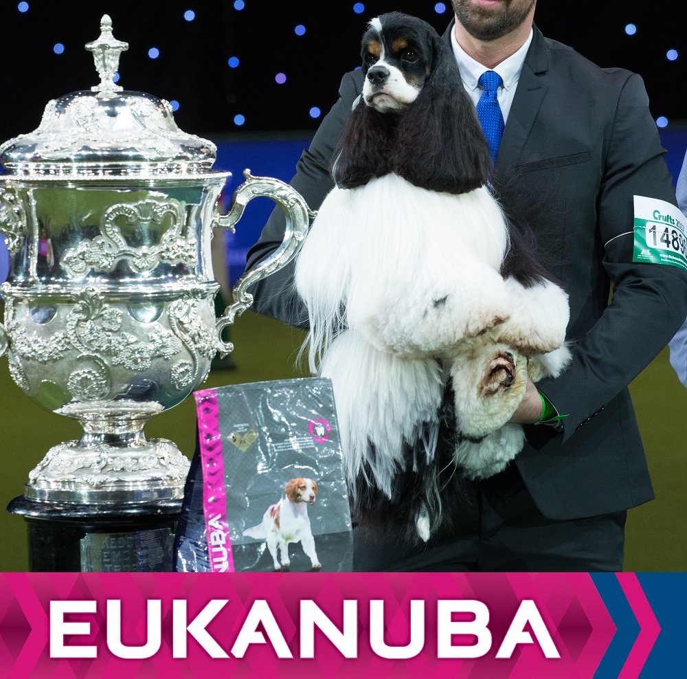 What's better than winning a pair of tickets to <a href="/Crufts/">Crufts</a>? Winning three pairs of tickets to Crufts. ow.ly/Dfh330iy125