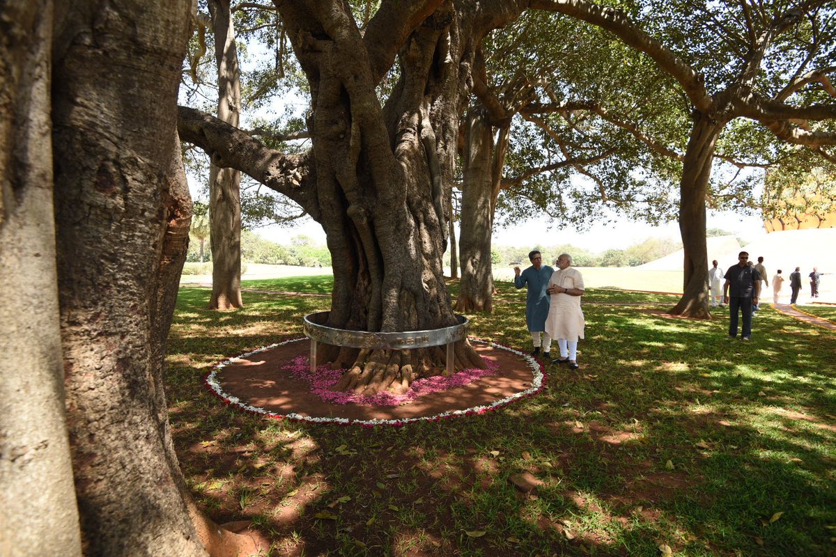 narendramodi's tweet photo. Auroville is beautiful, calm and full of positivity. Here are pictures from my visit there. https://t.co/0CZ7ftAHbs