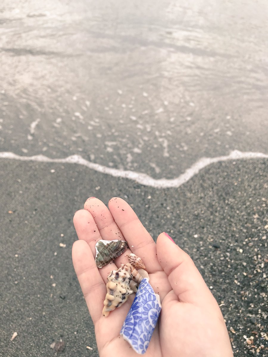 acco3en's tweet photo. Sunday #beachcombing 🐚 https://t.co/pFUvijyDGt