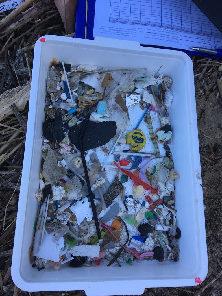 StonebridgeLock's tweet image. .@Thames21 #plastic #litter monitoring survey under a cold sun &amp;amp; the eye of Nannie Dee who once coursed #plasticfree seas. Thanks for a fab day #outdoors @sheephot #BinIt #OneLess #LastStraw #3Ps