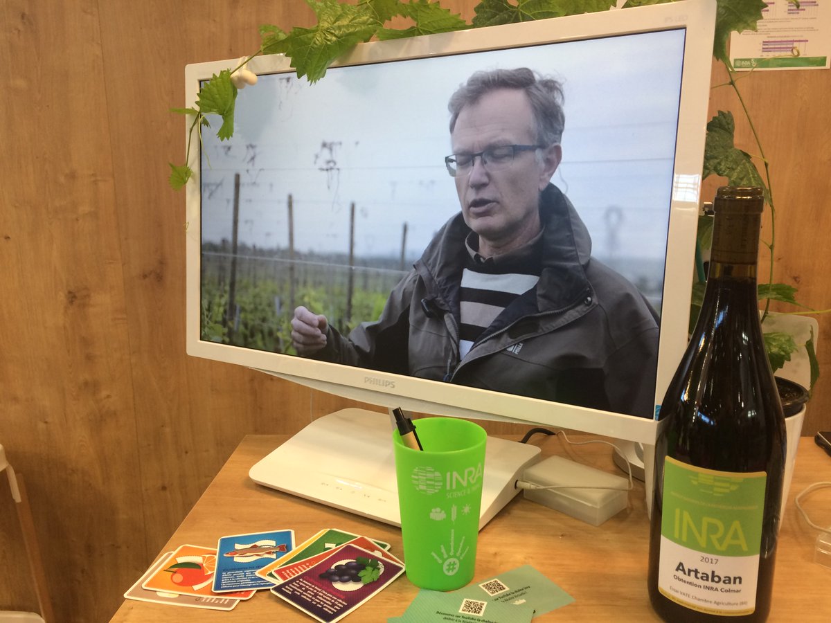 INRAE_Colmar's tweet photo. #Vidéo : découvrez les coulisses de la création variétale pour des #vignedurable
#SIA2018 #vin
>>> https://t.co/QyStxCqkSQ https://t.co/IoYKVEgv6D