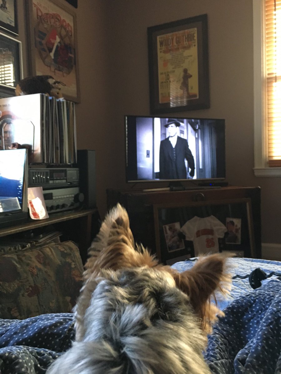 phegley_greg's tweet photo. Up early to watch The Maltese Falcon on TCM.  #31 days of great tv! https://t.co/R7nqwoJGfK