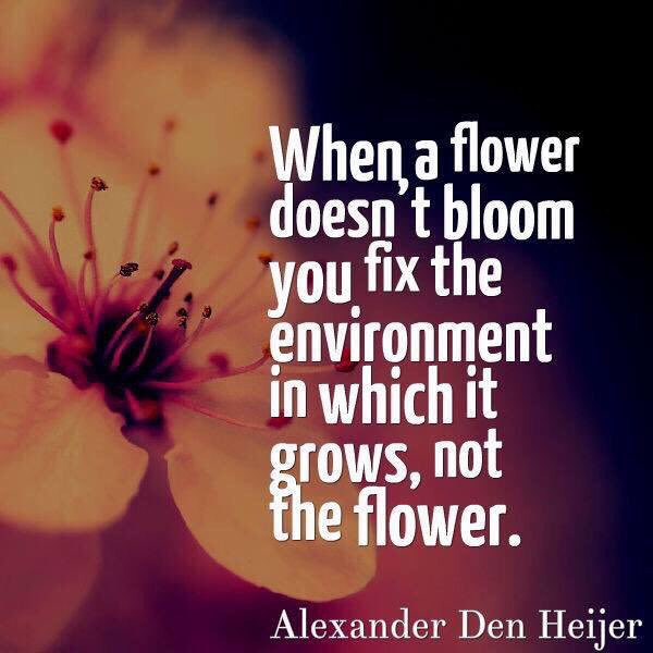 Image result for "when a flower doesn't bloom" @gcouros
