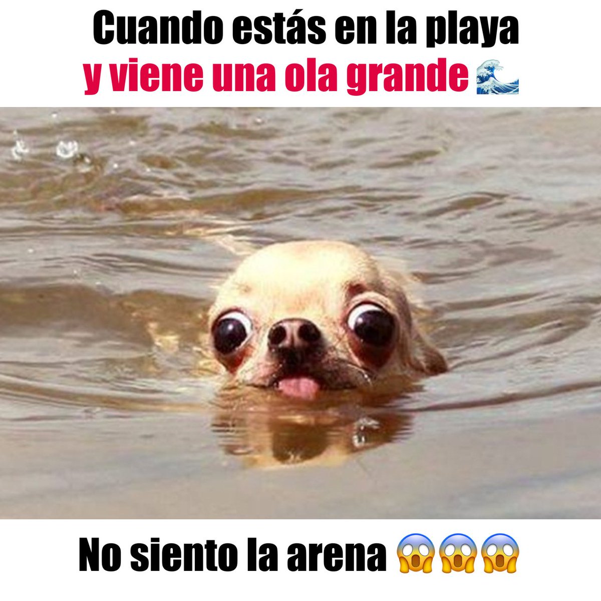 GianellaNeyra_'s tweet photo. Ji,ji,ji comenzando el domingo con un poco de humor. 
¿A cuántos les ha pasado? 😜😜 https://t.co/dx7ETQ6Y5O
