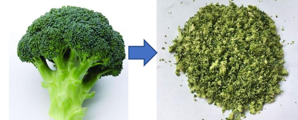 LoriShemek's tweet image. Why chopping your broccoli 90 minutes before cooking is healthier:  ihttps://www.sciencealert.com/best-way-to-cook-broccoli-sulforaphane-stir-fry-healthy   #health #cancer #nutrition